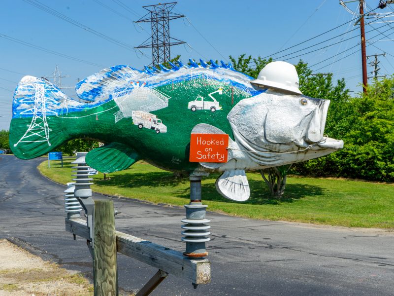 Dominion VA/NC Power’s Rockfish